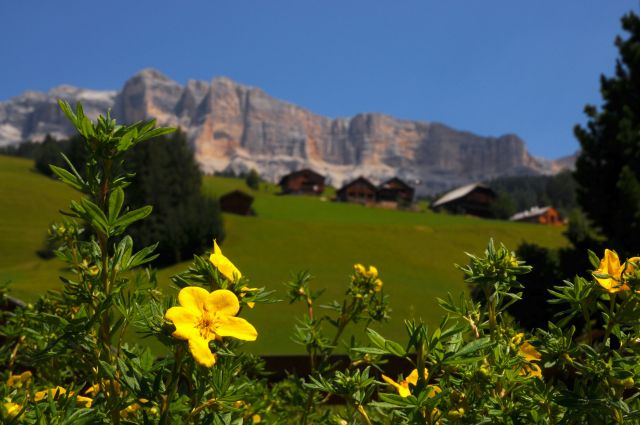 Vacanze estive in Alta Badia Immagine: Vacanze estive in Alta Badia